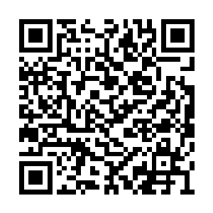 才对着那个开车门开了老半响也没打开的小身子二维码生成
