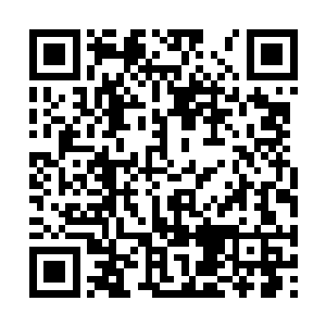 才将这个游魂的魂体拍打得颜色稀薄几乎看不清楚二维码生成