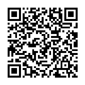 才将龙舌草的毒素一点点地从叶宗的体内导引了出来二维码生成