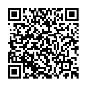 才忽然发现自己刚才的一枪并没有将大黑牛打死二维码生成