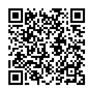 才想明白后面的事情……孟奇坦然接受了王思远的赞扬二维码生成