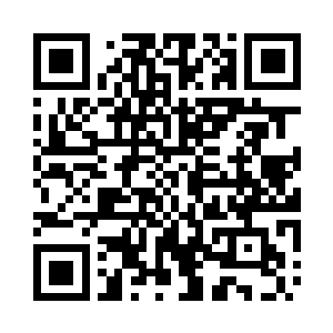 才想要亲自挑战一下王宫的保安系统二维码生成