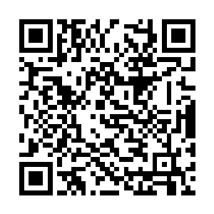 才想起来似的把自己的骨器亮出来给大家看了一下二维码生成