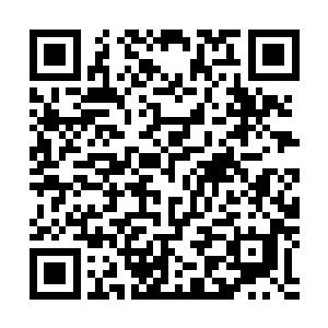 才想起这人正是去年来魏侯京邸抓捕云辰的禁卫军左卫统领二维码生成