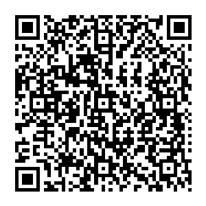 才把他用炼狱轮回炼化吸收的魔族大地骑士地之脉轮的地元素彻底转变为自己地之脉轮的一部分二维码生成