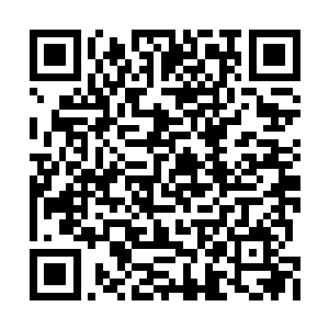 才把放在一边的小竹筒又再次绑在了小白的腿上二维码生成