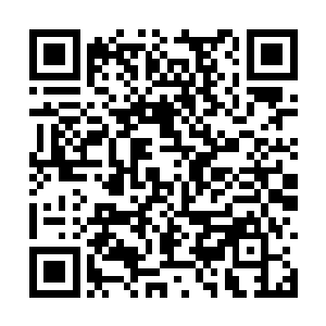 才敞开门收掉防尘套把车钥匙放在电子手刹的旁边二维码生成