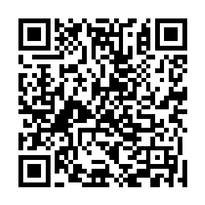 才明白这个总和这个时代人不一样的萧言可贵在什么地方二维码生成
