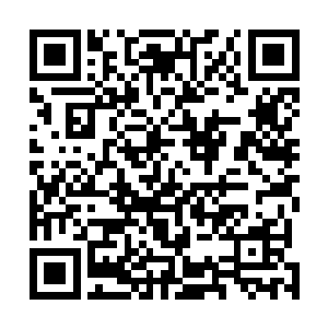 才是忍不住感叹了他的妖孽……年纪绝对比他要小上很多二维码生成