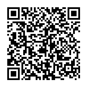 才是杨晨为什么执意要等到苗高亮睡着了之后这才和小苏联系的原因二维码生成