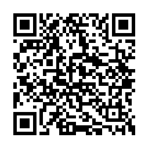 才是那只从冰块中存活下来的翼龙所熟悉的年代二维码生成