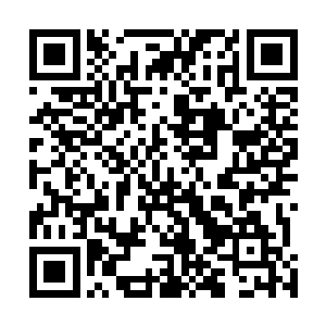 才是龙凤两族连同上古神兽天翼神虎一同消失在这方世界二维码生成