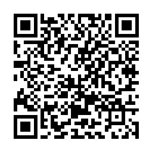 才更加深刻地感受到那种可怕究竟是什么样的体验二维码生成