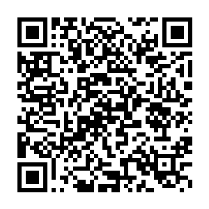 才更加深刻的明白莫天云当年布置出的这个阵法究竟有多么的逆天二维码生成