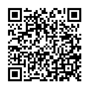 才有可能在不慎的情况下仍旧发现七星梨花针的一些踪迹二维码生成