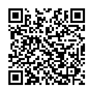 才有缓过神来的工作人员跑过来帮着收拢一地的游戏币二维码生成
