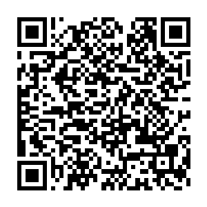 才有资格入选巴西队的原因――邓加需要的是一群任劳任怨的蓝领球员二维码生成