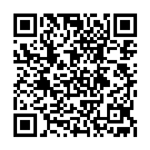 才猛然想起这玩意儿基本上就得两个人才能操作二维码生成