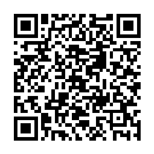 才真正的意识到了自己这一次的机缘有多么的恐怖二维码生成