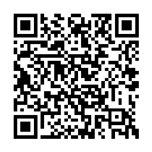 才真正的感受到了这个叫做楚枫的年轻人的可怕二维码生成