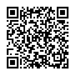 才知晓我们究竟给大象提供了什么样子的条件和环境二维码生成