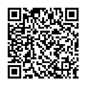 才知道他们不仅是因为被贾阳的小恩小惠所诱惑二维码生成