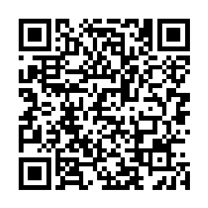 才知道整个冯府早已经被五百名精锐的护卫队成员团团包围二维码生成