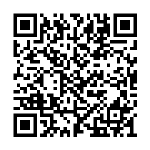 才知道枪哥原來要带他去见燕京市长和公安局长二维码生成