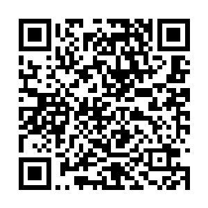 才知道那颂他将军也不过只是他其中一位弟子而已二维码生成