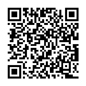 才确定自己正位于一片直径约五百里的巨大树叶之上二维码生成