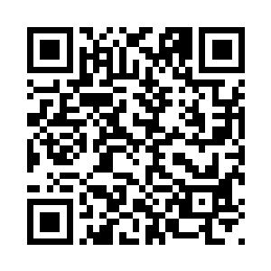 才算完成了一整套的手工盗|版程序二维码生成