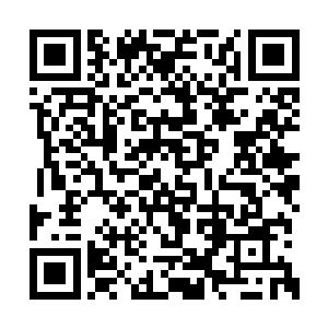 才终于在一片人烟稀少的原始森林上空停了下来二维码生成