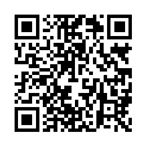 才能同时掌控这么多性能极强的水晶大脑二维码生成