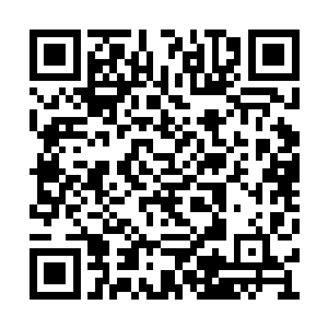 才能在你的世界踏入不朽之时顺便传下你的道统二维码生成