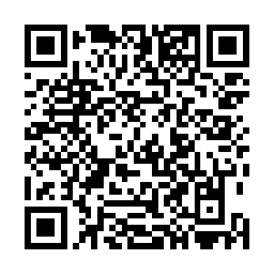 才能够感受到此时的狂霆圣剑正以恐怖的频率高速震荡着二维码生成