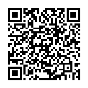 才能帮助巫牛部在几十万魔族的包围下坚持到现在二维码生成