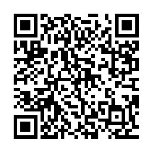才能想典籍之上记载的那样越两个大境界甚至是三个大境界战斗二维码生成