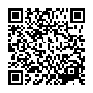 才能掩盖五德灵池回流她们体内的秘密……催长她们到假格地仙二维码生成