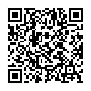 才能更快地得到雷林当初的惊人战绩和具体情报二维码生成