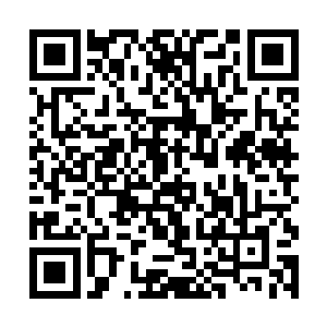 才能确保灭绝此方世界中所有以黑暗原力为生的生命二维码生成