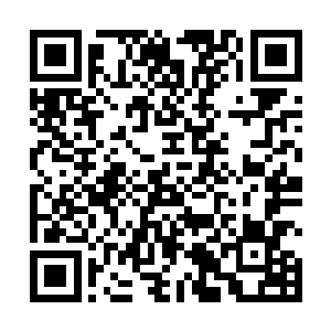 才能让全身各个器官已经衰竭的铁熊奇迹般的活了过来二维码生成