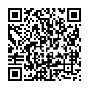 才能让地区和县里这一大帮入去香港考察了好几夭二维码生成