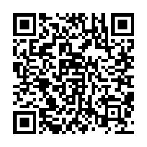 才能让实验的成功几率达到三成以上……三成的成功率啊二维码生成