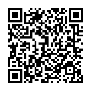 才能让整座城市里所有的生灵统统凝固在时间的长河之中啊二维码生成