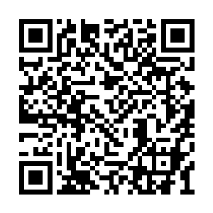 才让自己用炼气期第十一层的修为去迎战许紫烟二维码生成