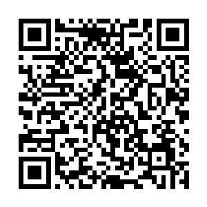 才让造物主一怒之下将整个失落界的所有生命抹杀了二维码生成