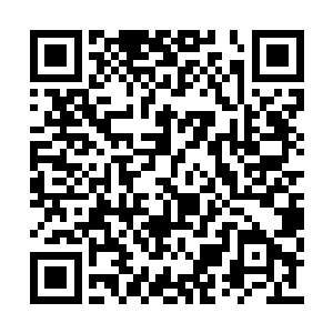 才让那乾坤世界与世界树间有了密不可分的联系二维码生成