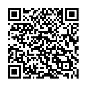 才让那些实力不算多强的虚王境放弃了吃独食的打算二维码生成