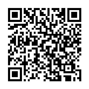 才让韩风堪堪从天阶四星巅峰极限突破到天阶五星初期层次二维码生成