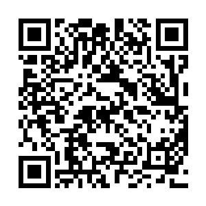 才逐渐尝试着来黑暗峡谷尝试着挑战更多的地狱黑蜘蛛二维码生成